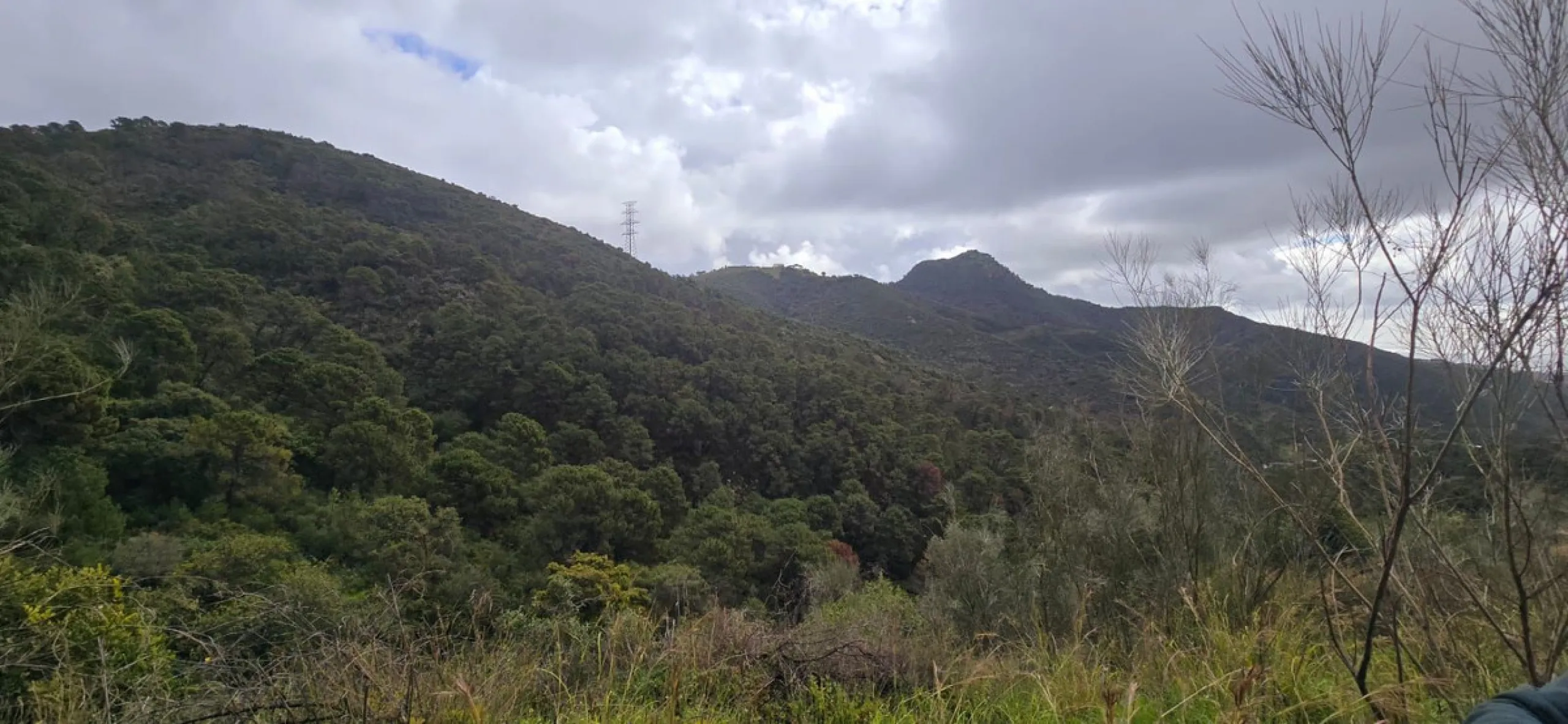 Nestled in the serene mountains of Benahavís, this exceptional rustic finca offers a unique opportunity for those looking to bring their dream building project to life. Boasting spectacular panoramic views of both the sea and the surrounding mountains, th