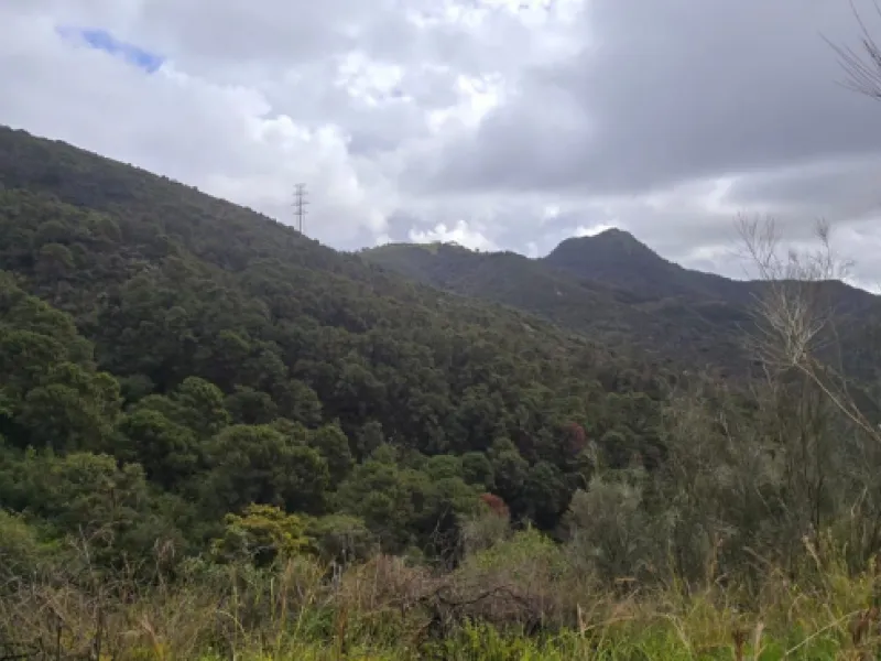 Nestled in the serene mountains of Benahavís, this exceptional rustic finca offers a unique opportunity for those looking to bring their dream building project to life. Boasting spectacular panoramic views of both the sea and the surrounding mountains, th