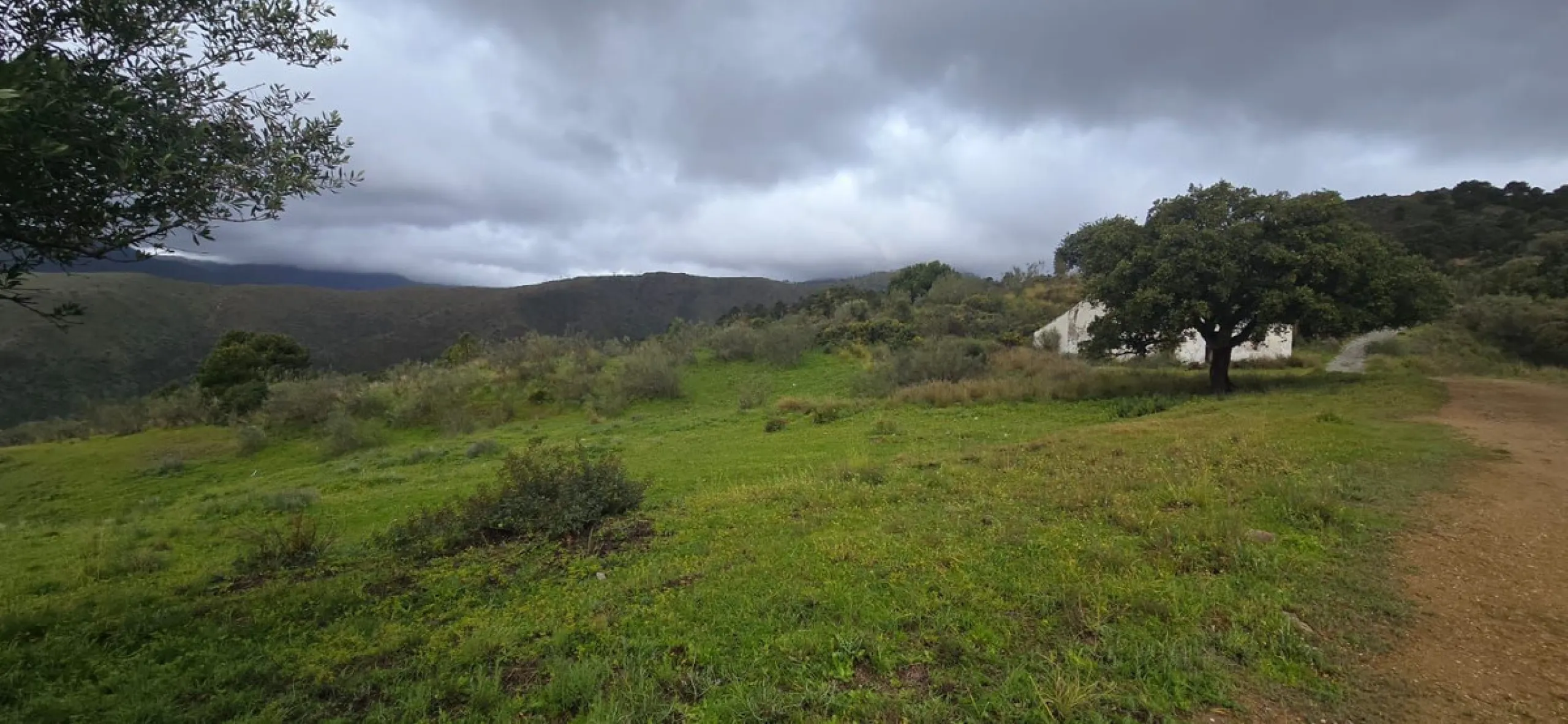 Nestled in the serene mountains of Benahavís, this exceptional rustic finca offers a unique opportunity for those looking to bring their dream building project to life. Boasting spectacular panoramic views of both the sea and the surrounding mountains, th