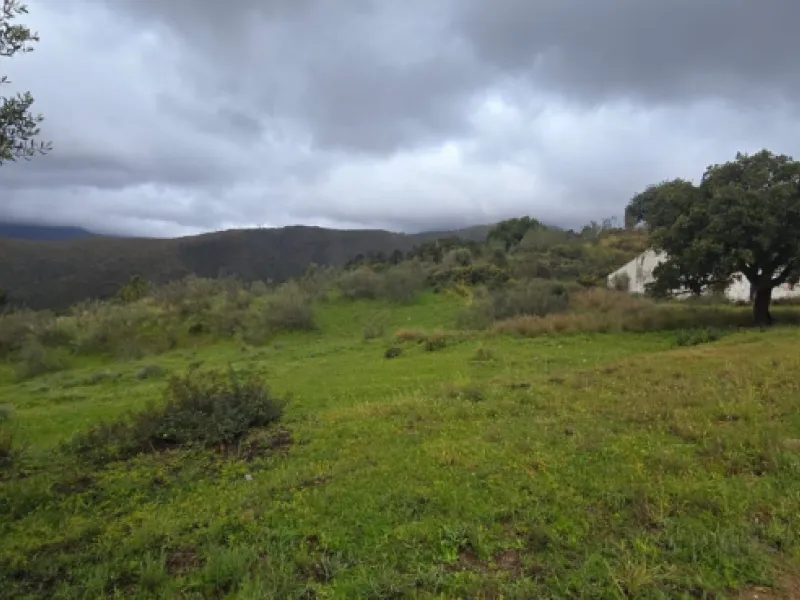 Nestled in the serene mountains of Benahavís, this exceptional rustic finca offers a unique opportunity for those looking to bring their dream building project to life. Boasting spectacular panoramic views of both the sea and the surrounding mountains, th