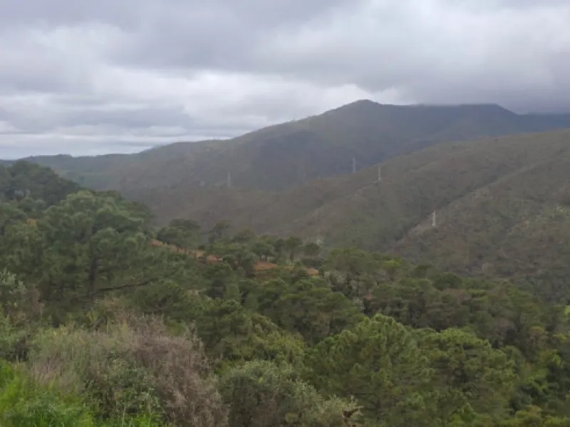 Nestled in the serene mountains of Benahavís, this exceptional rustic finca offers a unique opportunity for those looking to bring their dream building project to life. Boasting spectacular panoramic views of both the sea and the surrounding mountains, th