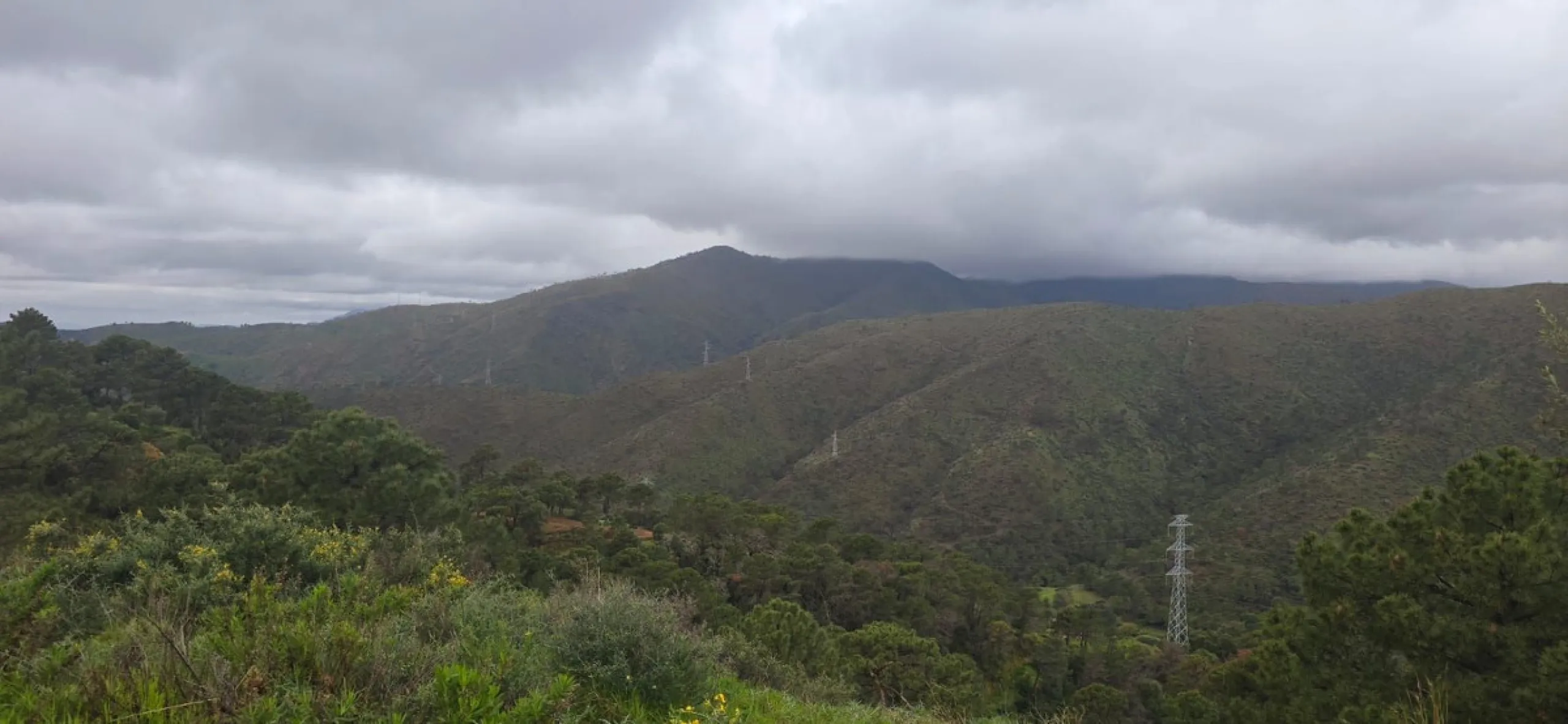 Nestled in the serene mountains of Benahavís, this exceptional rustic finca offers a unique opportunity for those looking to bring their dream building project to life. Boasting spectacular panoramic views of both the sea and the surrounding mountains, th