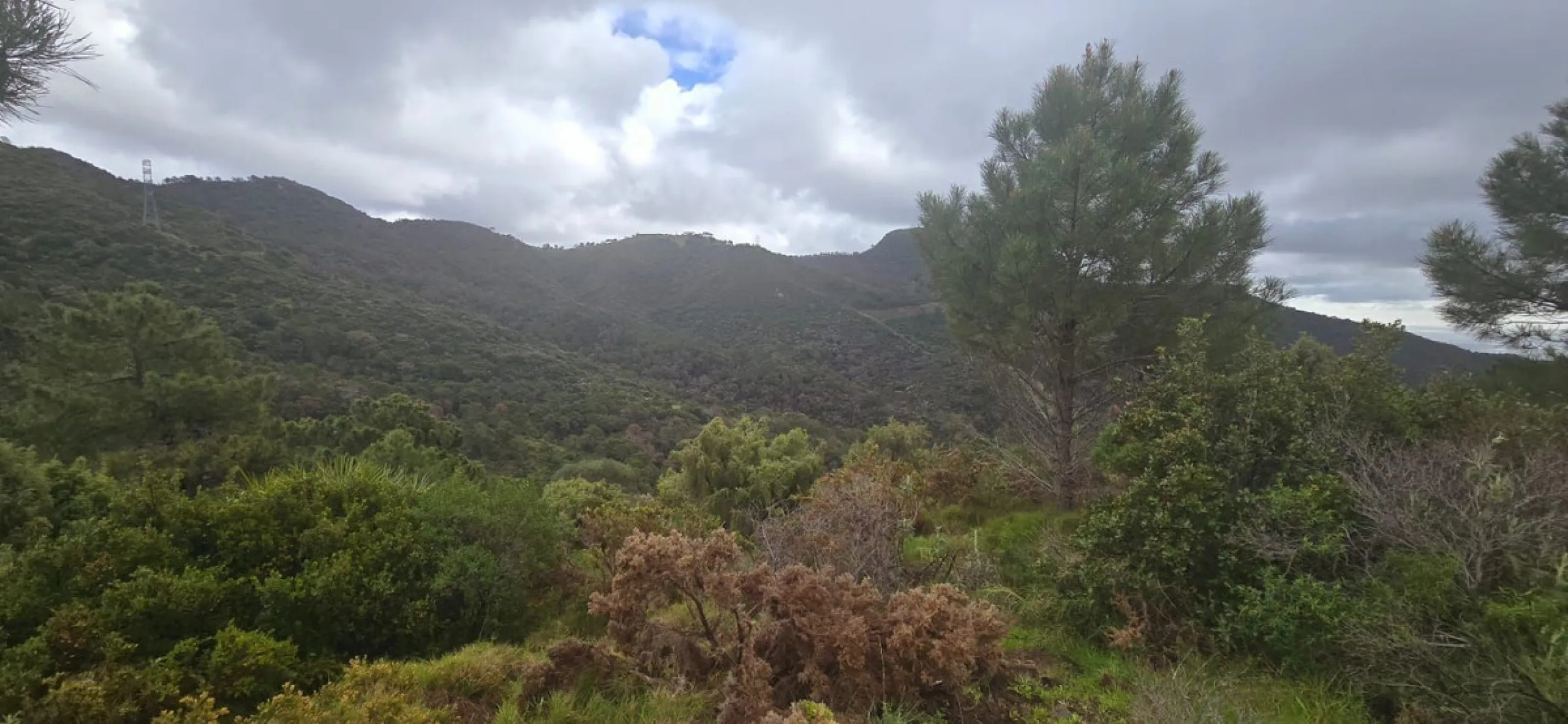 Nestled in the serene mountains of Benahavís, this exceptional rustic finca offers a unique opportunity for those looking to bring their dream building project to life. Boasting spectacular panoramic views of both the sea and the surrounding mountains, th