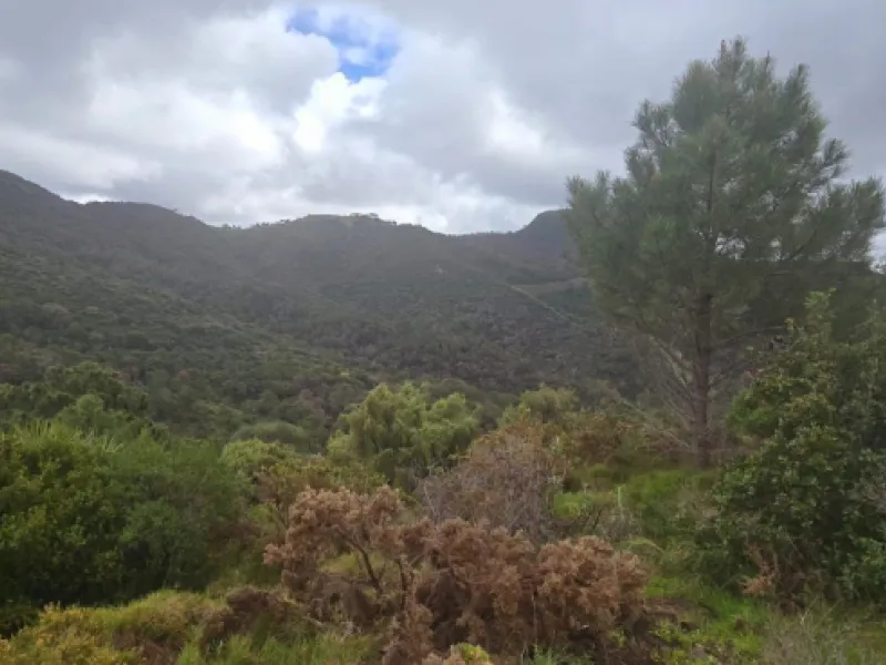 Nestled in the serene mountains of Benahavís, this exceptional rustic finca offers a unique opportunity for those looking to bring their dream building project to life. Boasting spectacular panoramic views of both the sea and the surrounding mountains, th