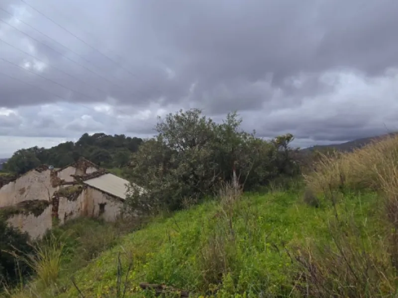 Nestled in the serene mountains of Benahavís, this exceptional rustic finca offers a unique opportunity for those looking to bring their dream building project to life. Boasting spectacular panoramic views of both the sea and the surrounding mountains, th