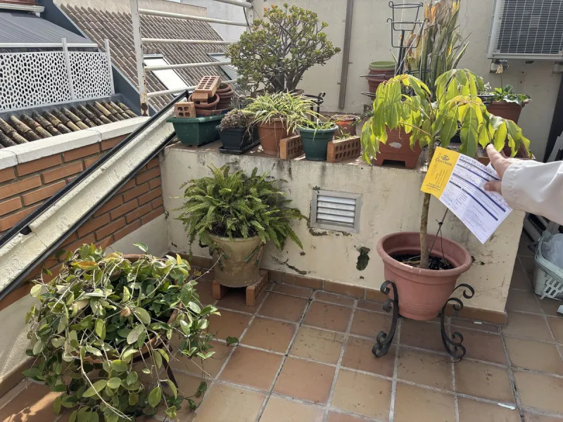 This building is located in the centre of Fuengirola. Less than a minute walk from the Plaza de Constitución and a few steps from the Paseo Marítimo and the Marina.
