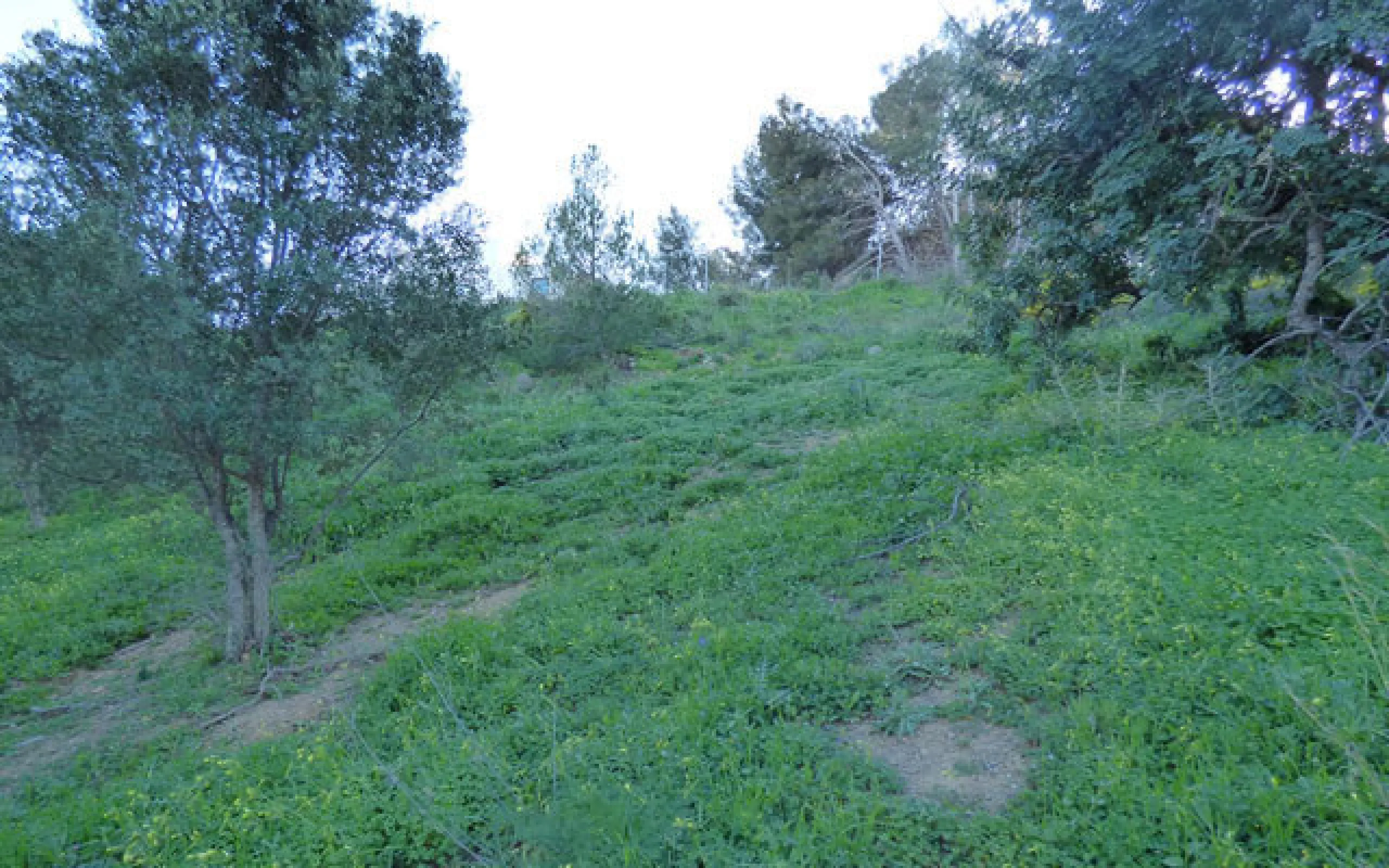 This 2,000m² plot is situated in the stunning area of Benalmádena Pueblo, offering good sea views. Conveniently located less than 1km from the beaches of the area, 15 minutes from Málaga Airport and 25 minutes from Marbella, it provides easy access to the