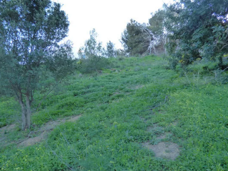 This 2,000m² plot is situated in the stunning area of Benalmádena Pueblo, offering good sea views. Conveniently located less than 1km from the beaches of the area, 15 minutes from Málaga Airport and 25 minutes from Marbella, it provides easy access to the