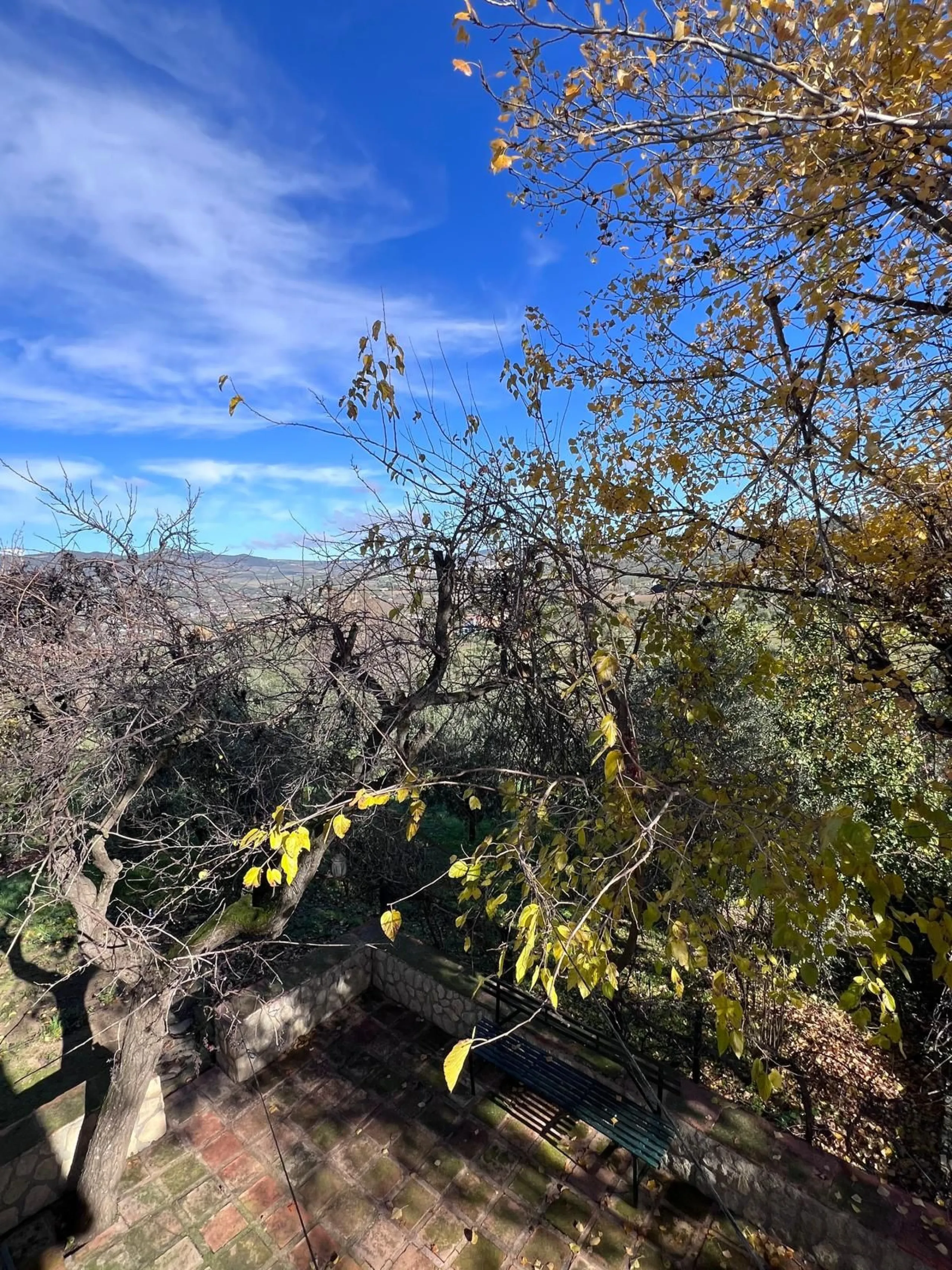House - Finca - Cortijo в продаже в Ronda, Málaga. В доме 6 спален и 2 ванных комнат. Площадь дома 200 м². Площадь участка 100000 м²