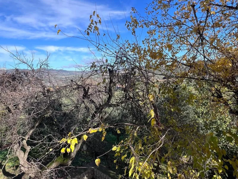 House - Finca - Cortijo в продаже в Ronda, Málaga. В доме 6 спален и 2 ванных комнат. Площадь дома 200 м². Площадь участка 100000 м²