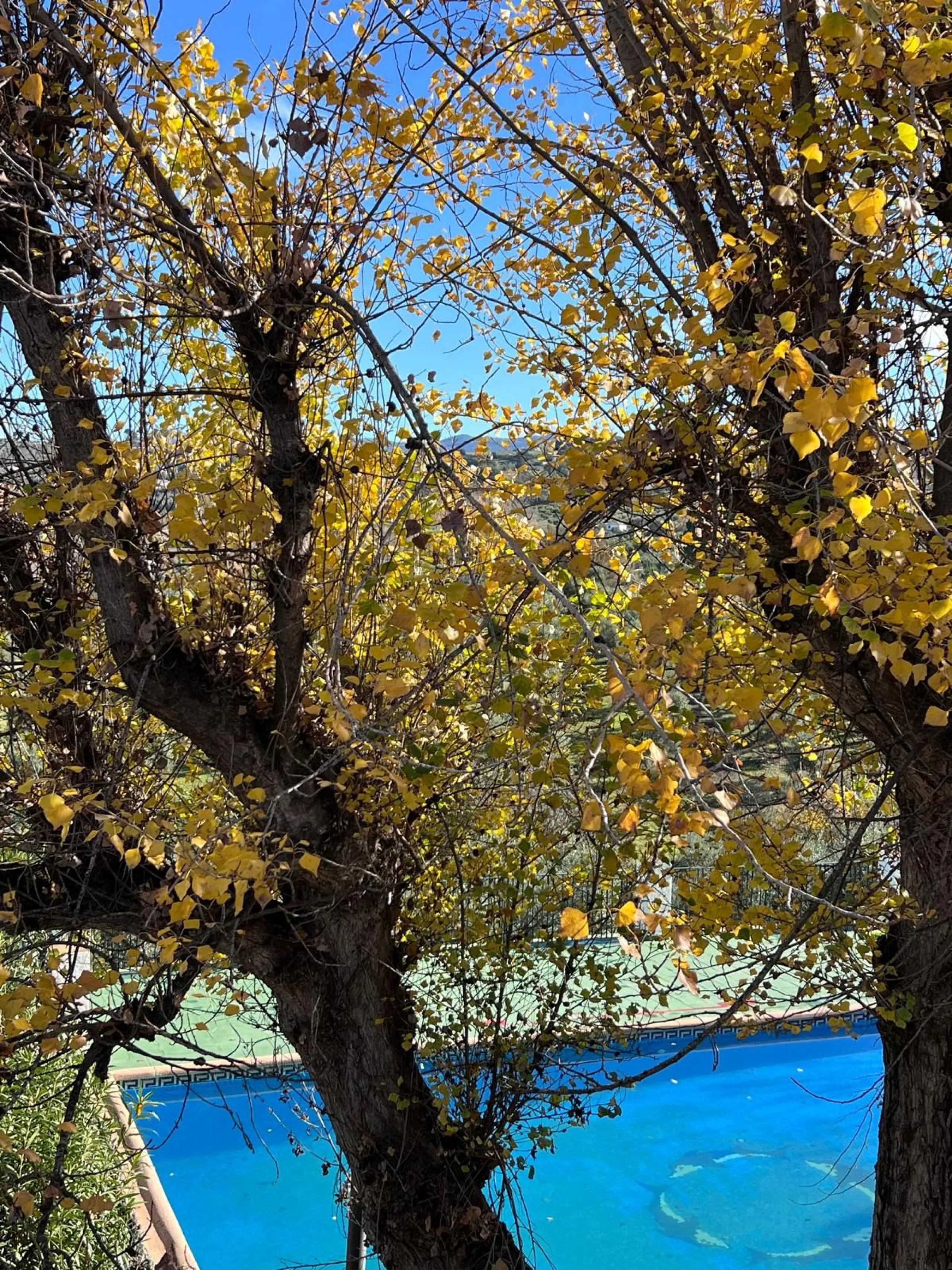 House - Finca - Cortijo в продаже в Ronda, Málaga. В доме 6 спален и 2 ванных комнат. Площадь дома 200 м². Площадь участка 100000 м²