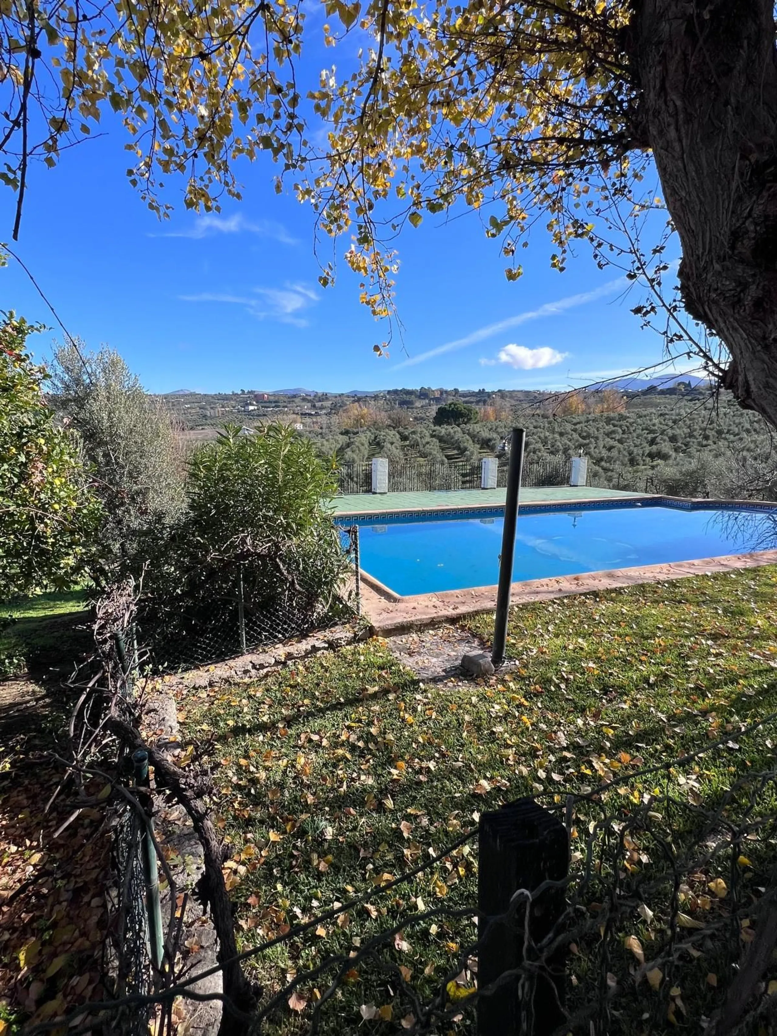 House - Finca - Cortijo в продаже в Ronda, Málaga. В доме 6 спален и 2 ванных комнат. Площадь дома 200 м². Площадь участка 100000 м²