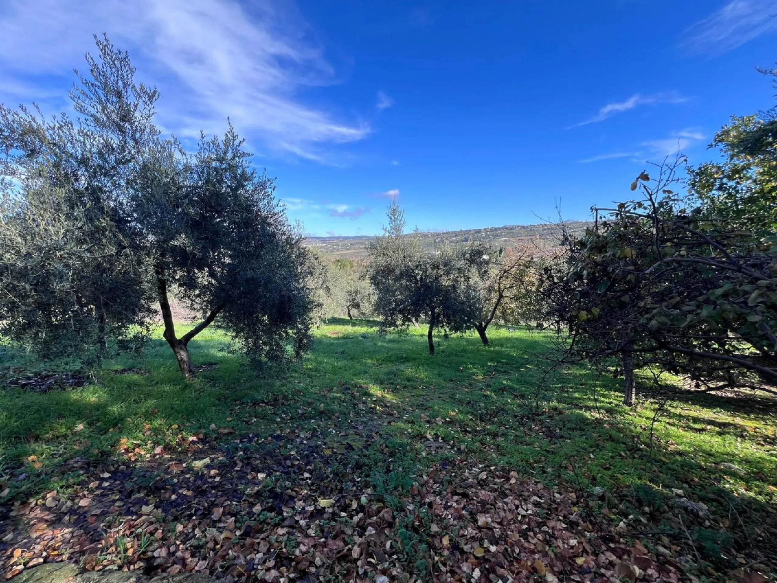 House - Finca - Cortijo в продаже в Ronda, Málaga. В доме 6 спален и 2 ванных комнат. Площадь дома 200 м². Площадь участка 100000 м²