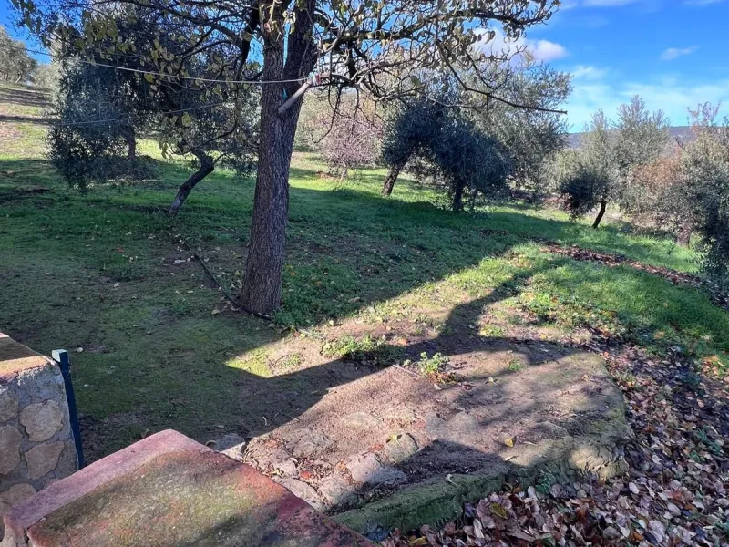 House - Finca - Cortijo в продаже в Ronda, Málaga. В доме 6 спален и 2 ванных комнат. Площадь дома 200 м². Площадь участка 100000 м²