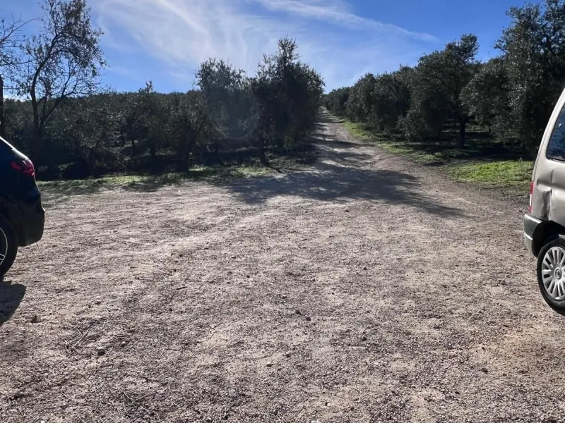 House - Finca - Cortijo в продаже в Ronda, Málaga. В доме 6 спален и 2 ванных комнат. Площадь дома 200 м². Площадь участка 100000 м²