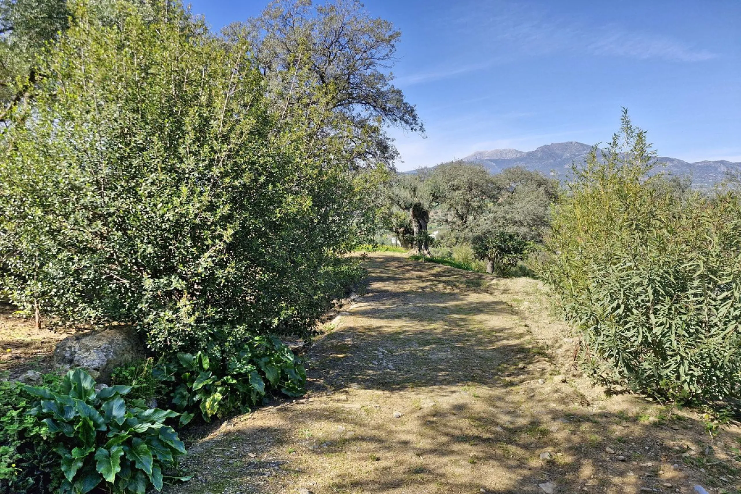 House - Finca - Cortijo в продаже в Coín, Málaga. В доме 3 спален и 2 ванных комнат. Площадь дома 162 м². Площадь участка 10620 м²