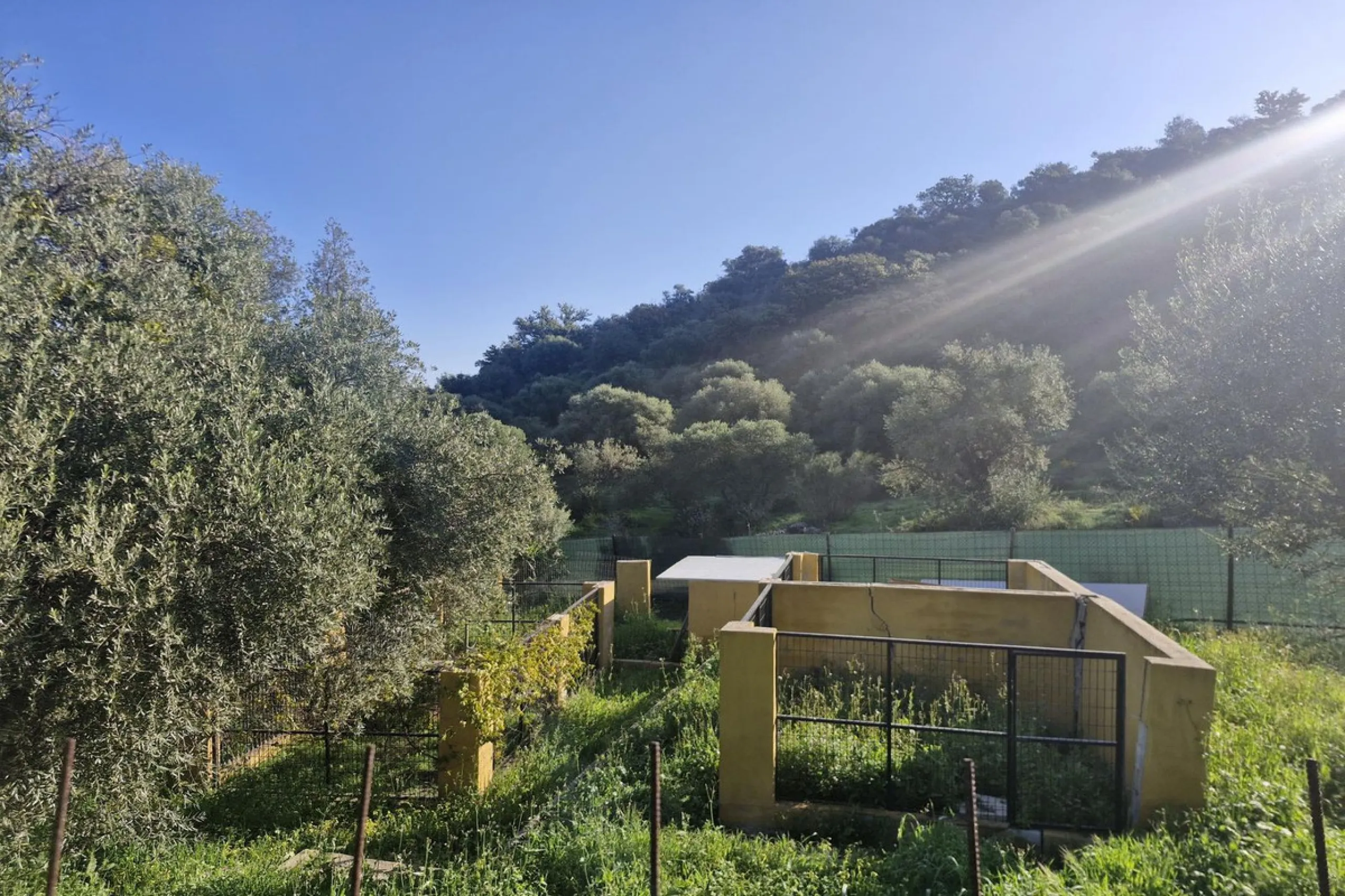 House - Finca - Cortijo в продаже в Coín, Málaga. В доме 3 спален и 2 ванных комнат. Площадь дома 162 м². Площадь участка 10620 м²