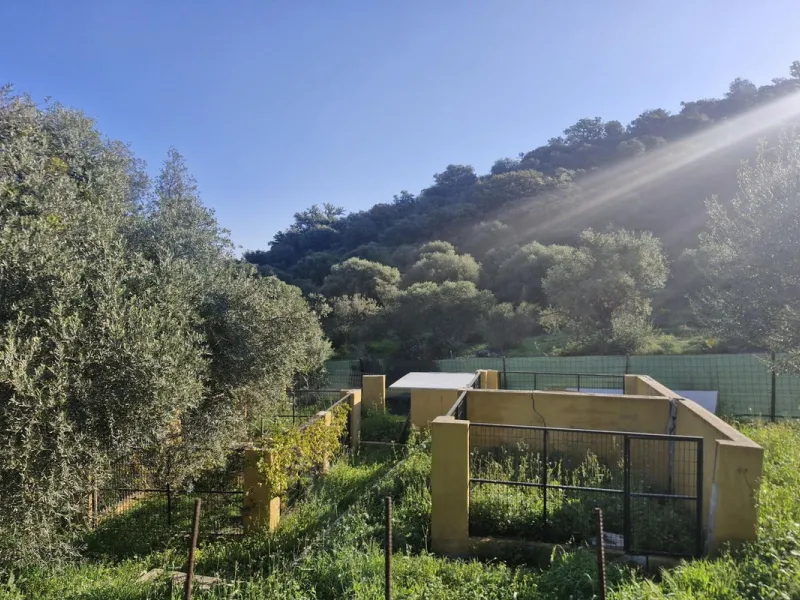 House - Finca - Cortijo в продаже в Coín, Málaga. В доме 3 спален и 2 ванных комнат. Площадь дома 162 м². Площадь участка 10620 м²