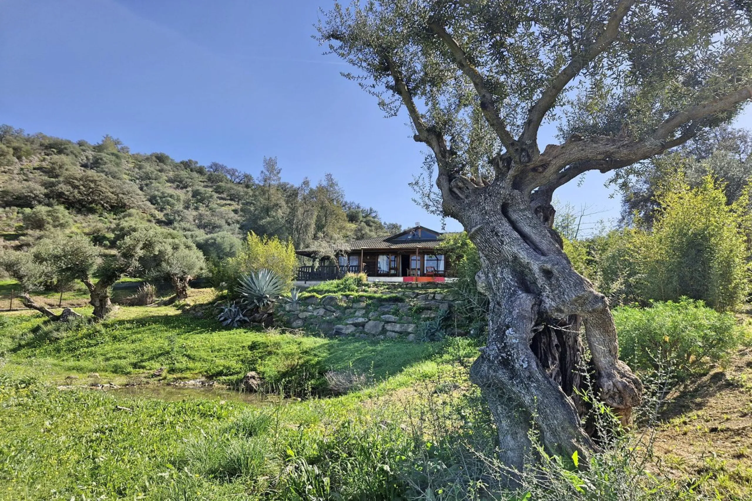 House - Finca - Cortijo в продаже в Coín, Málaga. В доме 3 спален и 2 ванных комнат. Площадь дома 162 м². Площадь участка 10620 м²