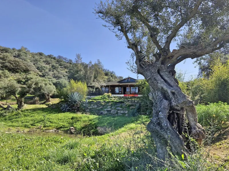House - Finca - Cortijo в продаже в Coín, Málaga. В доме 3 спален и 2 ванных комнат. Площадь дома 162 м². Площадь участка 10620 м²