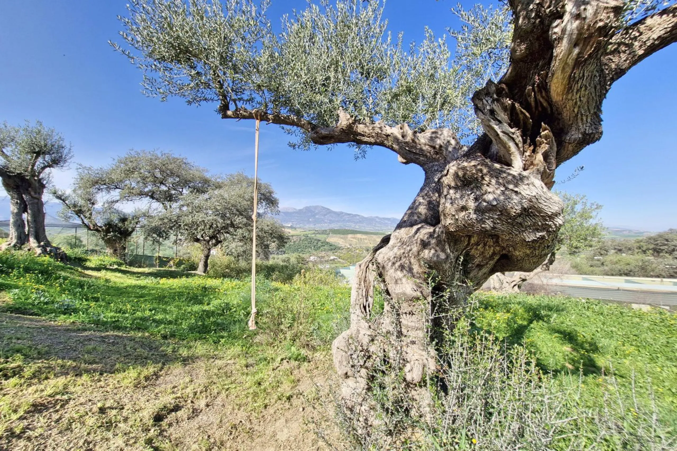 House - Finca - Cortijo в продаже в Coín, Málaga. В доме 3 спален и 2 ванных комнат. Площадь дома 162 м². Площадь участка 10620 м²