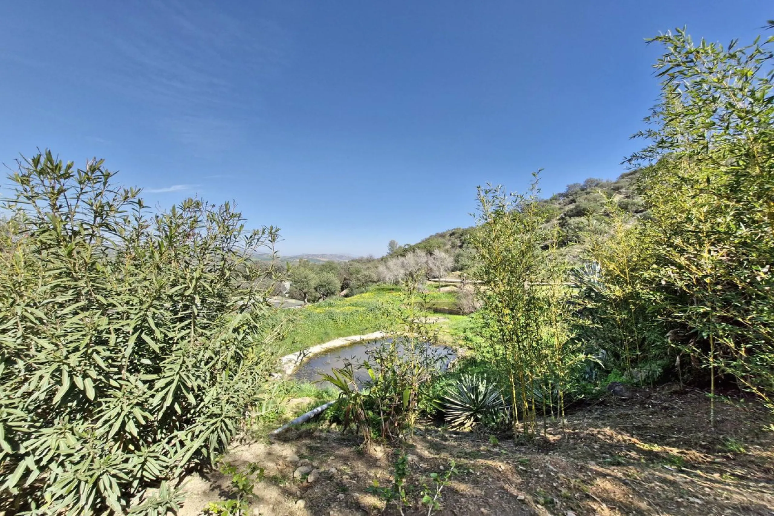 House - Finca - Cortijo в продаже в Coín, Málaga. В доме 3 спален и 2 ванных комнат. Площадь дома 162 м². Площадь участка 10620 м²