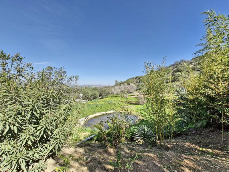 House - Finca - Cortijo в продаже в Coín, Málaga. В доме 3 спален и 2 ванных комнат. Площадь дома 162 м². Площадь участка 10620 м²