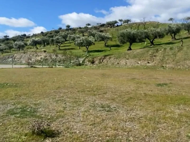 Stunning Development Opportunity in Coin, Málaga