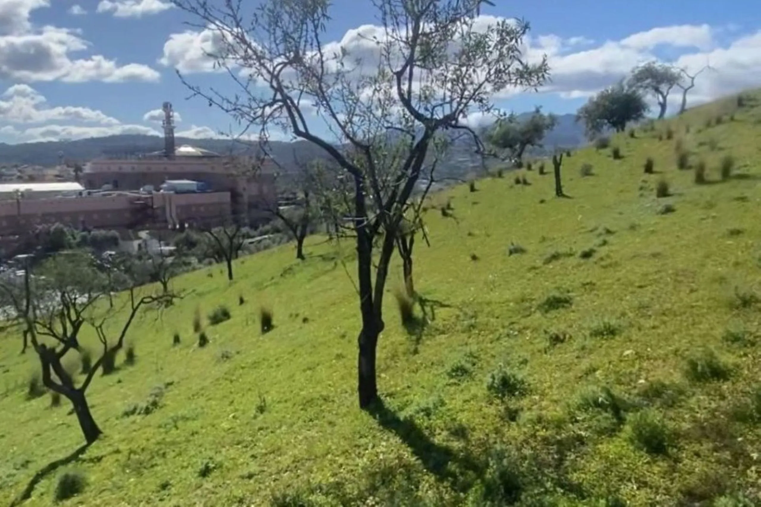 Stunning Development Opportunity in Coin, Málaga