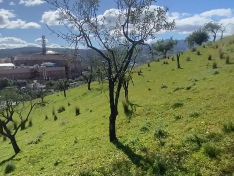 Stunning Development Opportunity in Coin, Málaga