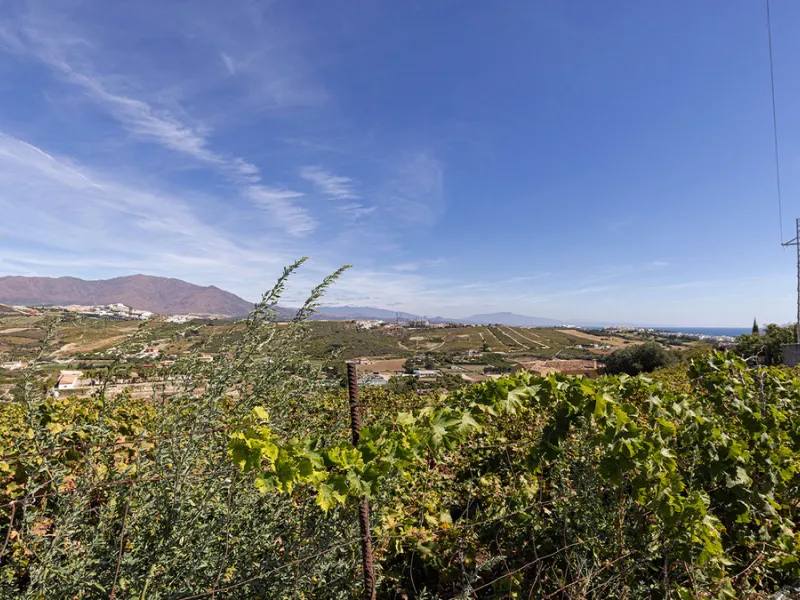 A fabulous Andalucian-style townhouse in Manilva Village with stunning panoramic views over the vineyards, across to the mountains and sea. A stunning setting. Located in a small urbanisation of only 23 houses with a communal pool and gardens.