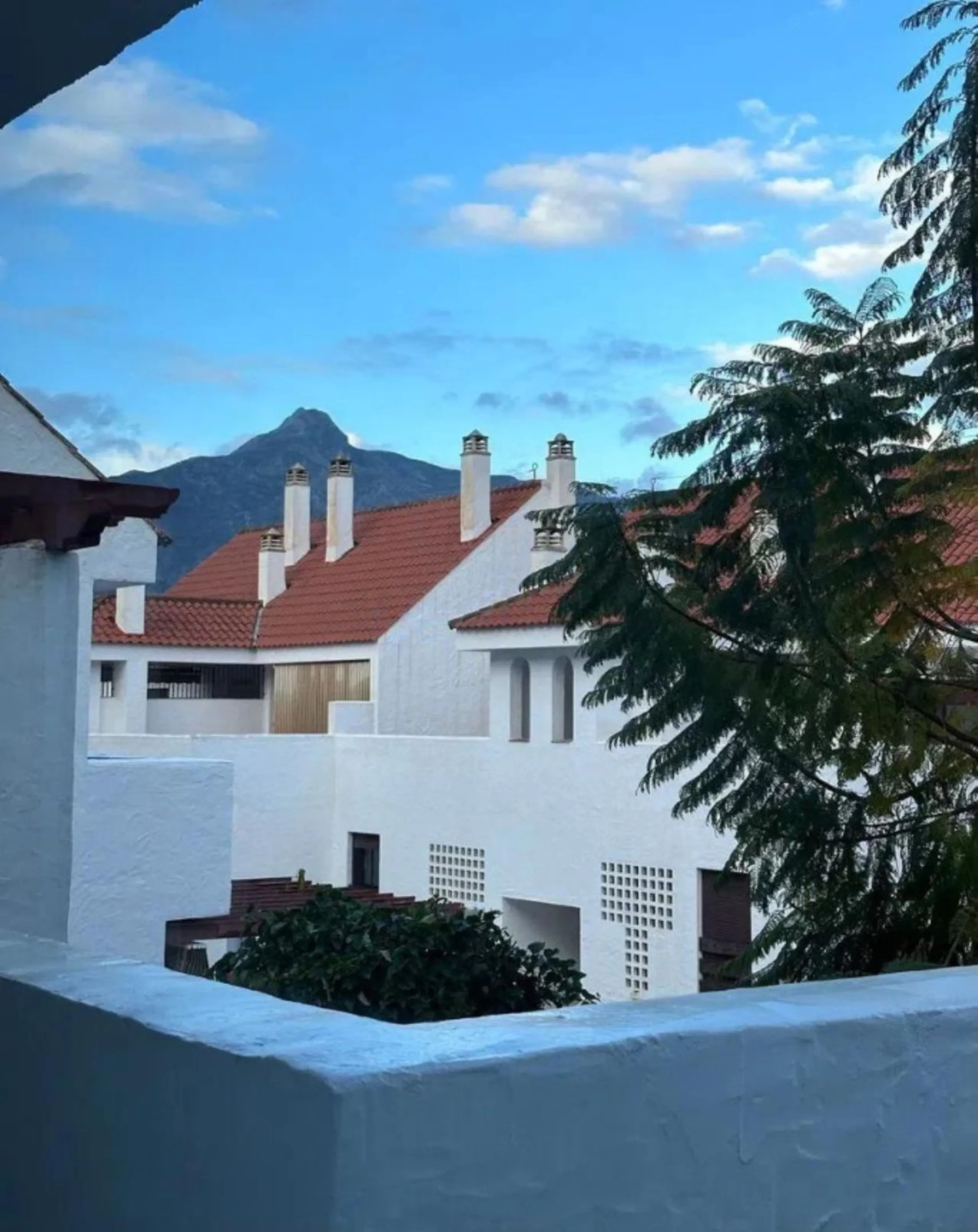 The Property