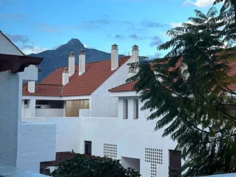 The Property
