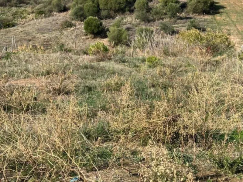 Urban land for sale in the Bel Air area, surrounded by chalets and hotels, a few minutes from the beach and 8 minutes by car from San Pedro Alcántara. Fairly flat land to build the house of your dreams. The plot belongs to Estepona. UE-4