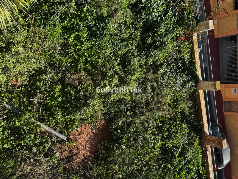 Welcome to this charming villa nestled in the prestigious neighborhood of El Candado, Malaga, where serenity meets elegance. This splendid property presents the perfect canvas for creating your dream home, offering a unique blend of privacy, breathtaking 
