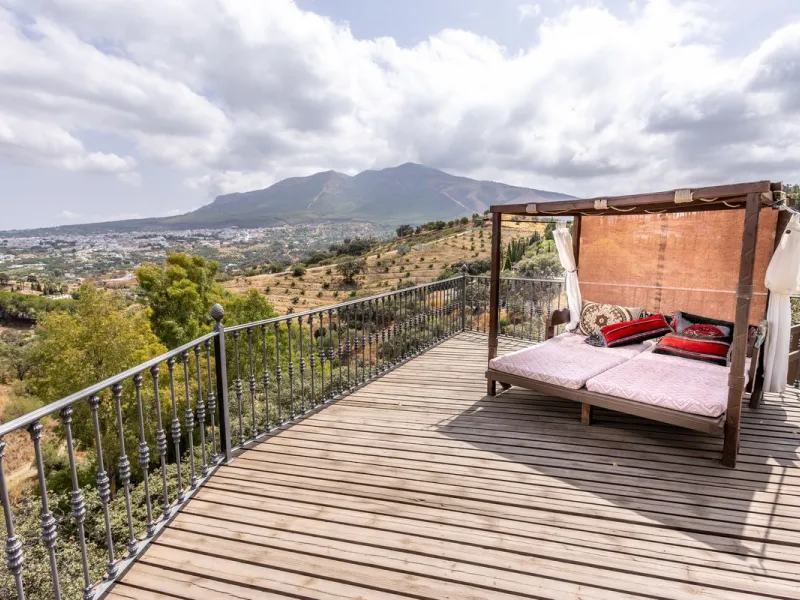 One Off, Country Property and Established Business.