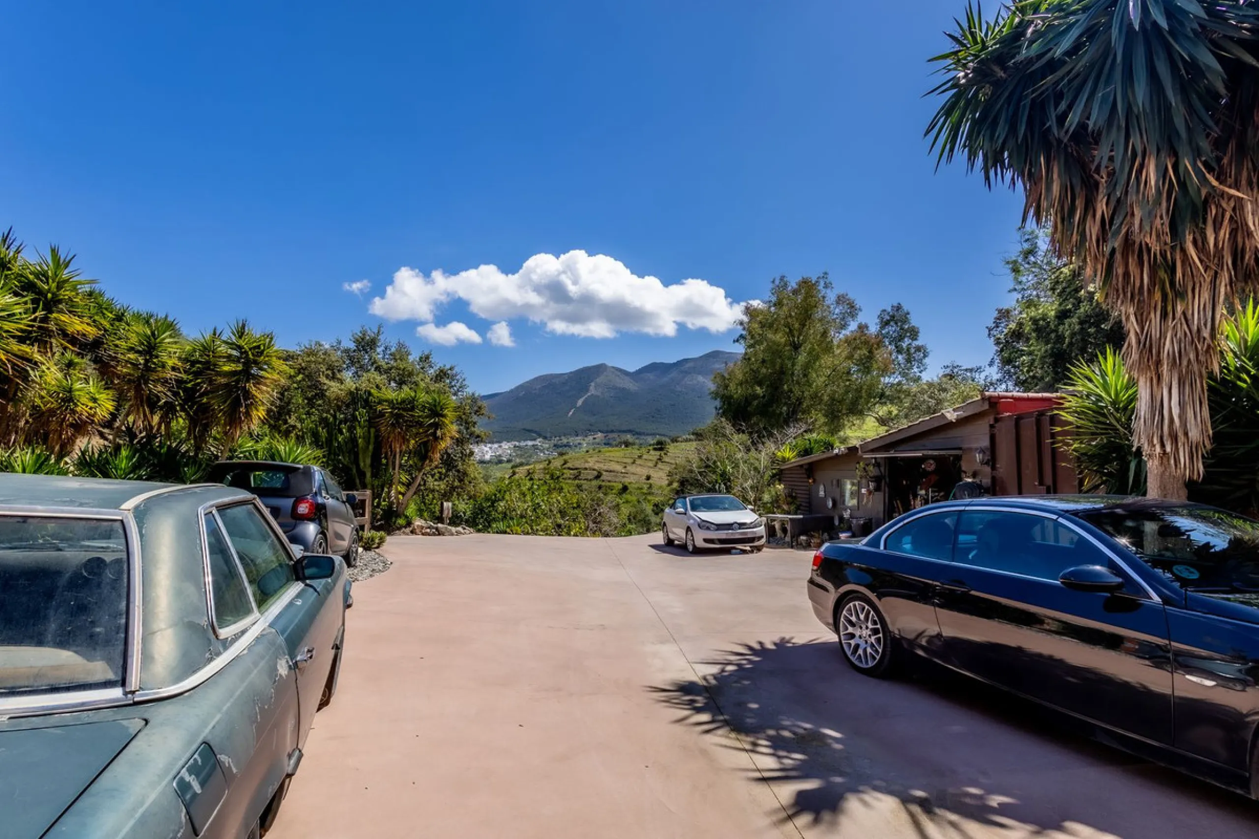 One Off, Country Property and Established Business.
