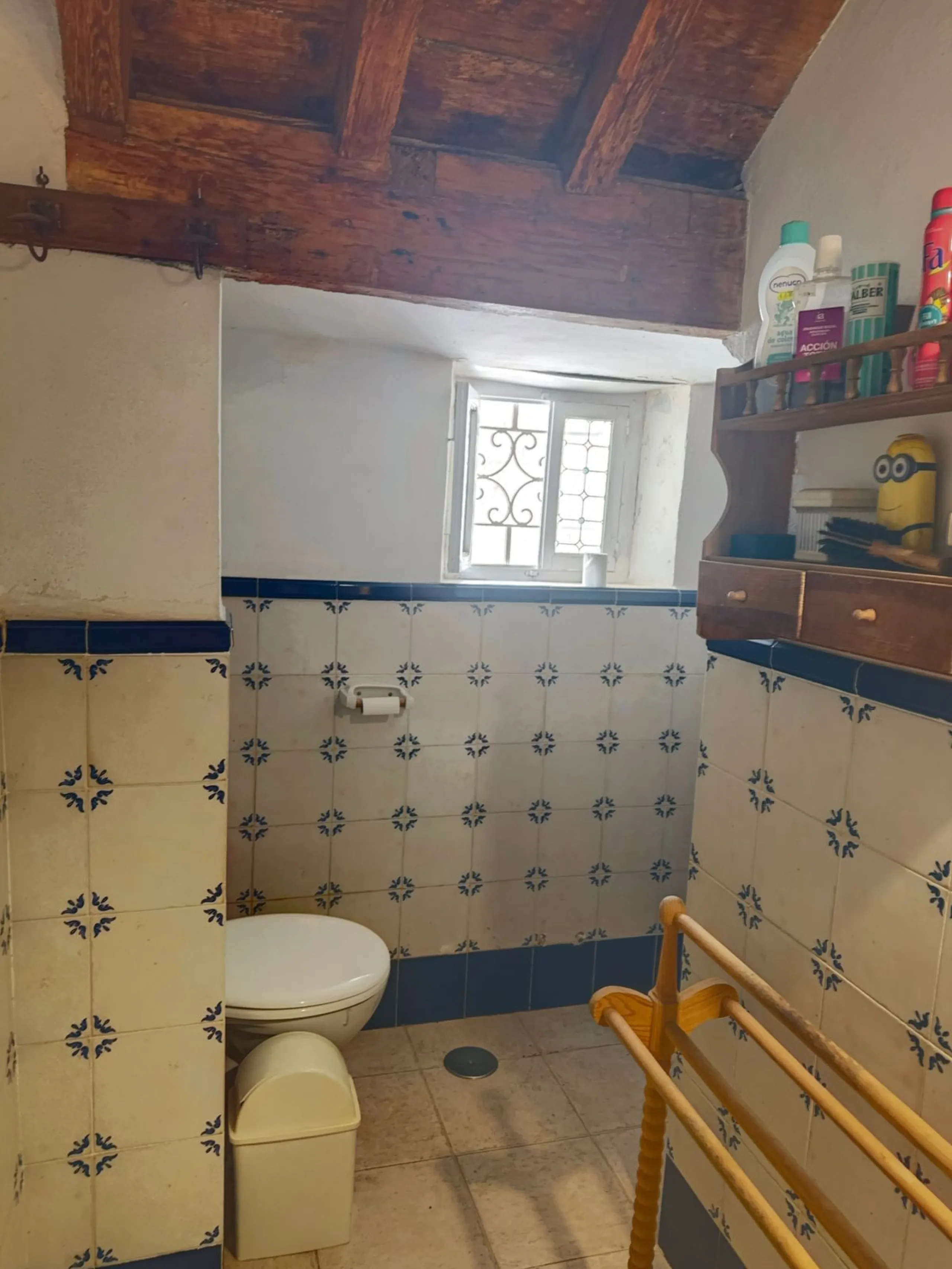 Unique Investment, A Historic Property with Exceptional Potential!