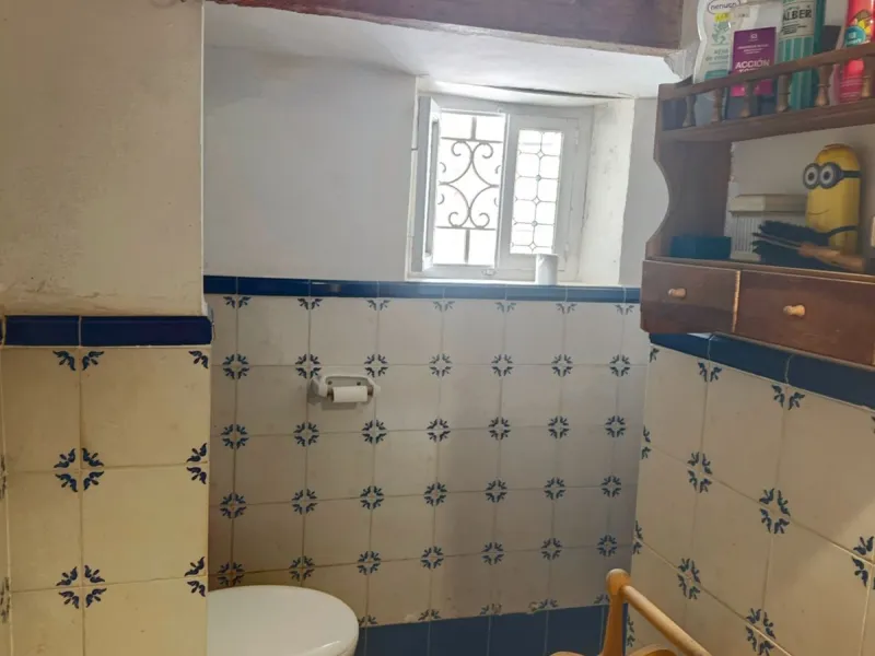Unique Investment, A Historic Property with Exceptional Potential!