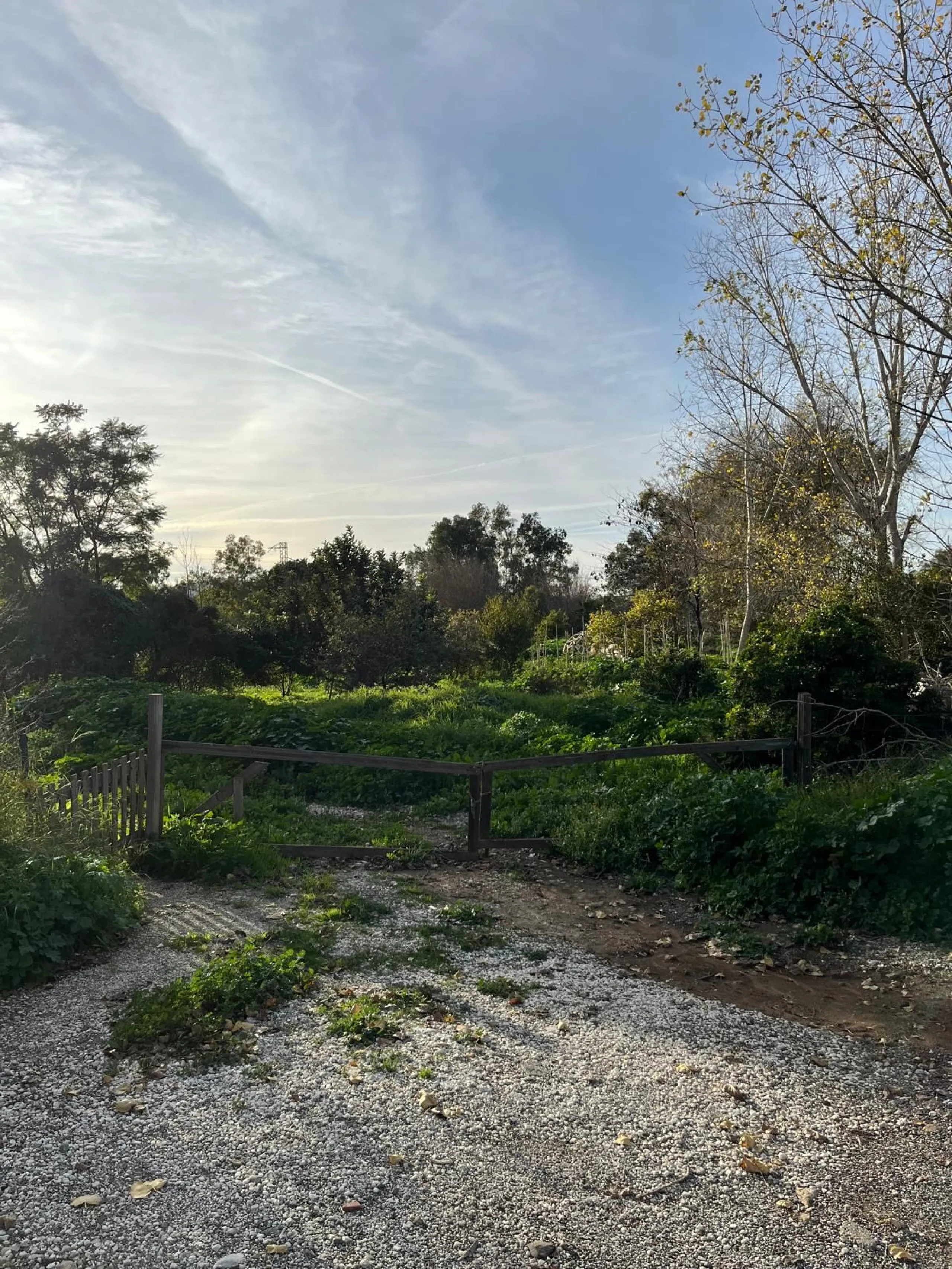 Agricultural Land for Sale – 17,127 sq meters of Fertile Land in Campanillas, Malaga