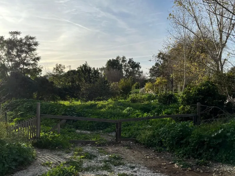 Agricultural Land for Sale – 17,127 sq meters of Fertile Land in Campanillas, Malaga