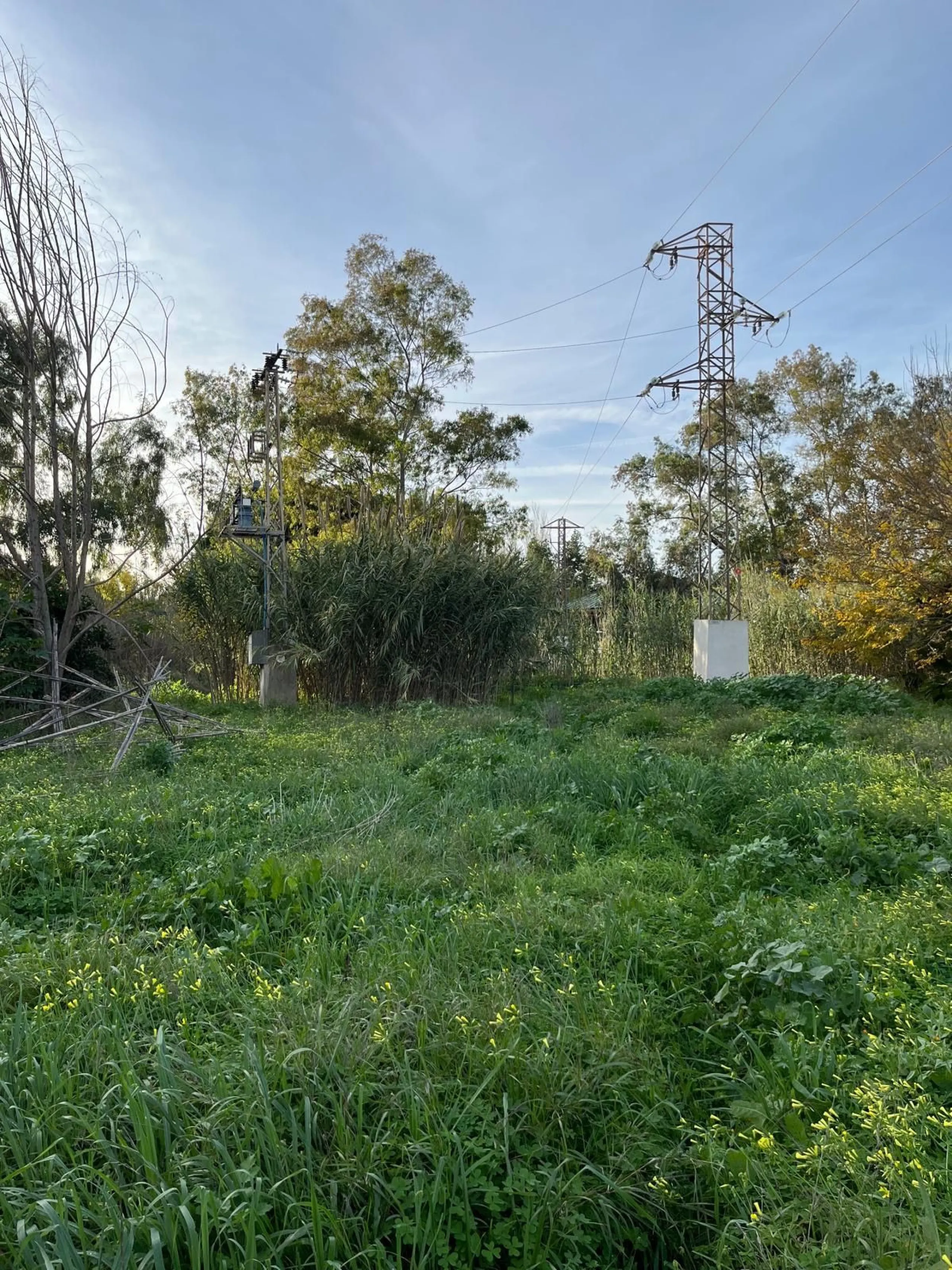 Agricultural Land for Sale – 17,127 sq meters of Fertile Land in Campanillas, Malaga