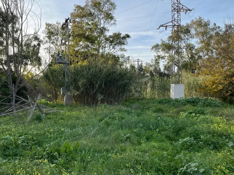 Agricultural Land for Sale – 17,127 sq meters of Fertile Land in Campanillas, Malaga