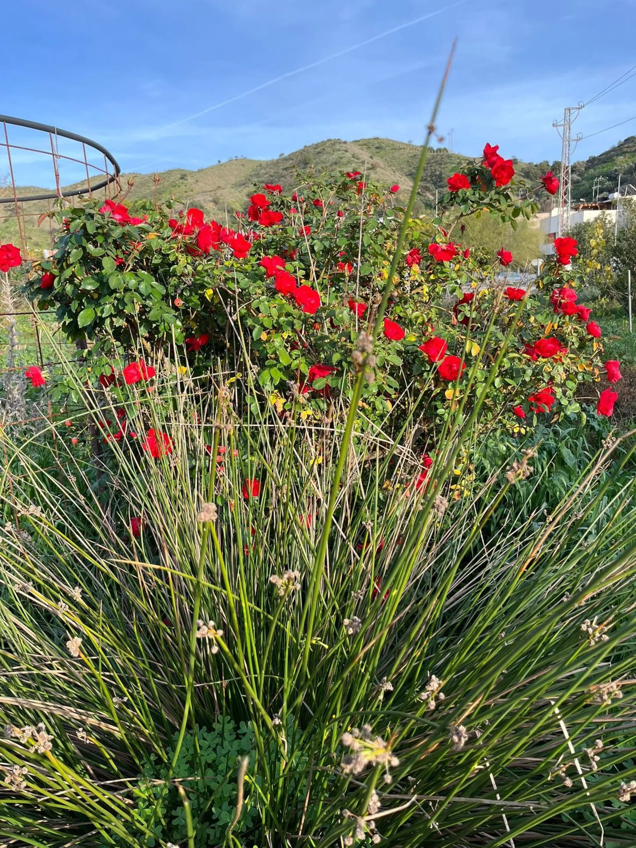 Agricultural Land for Sale – 17,127 sq meters of Fertile Land in Campanillas, Malaga