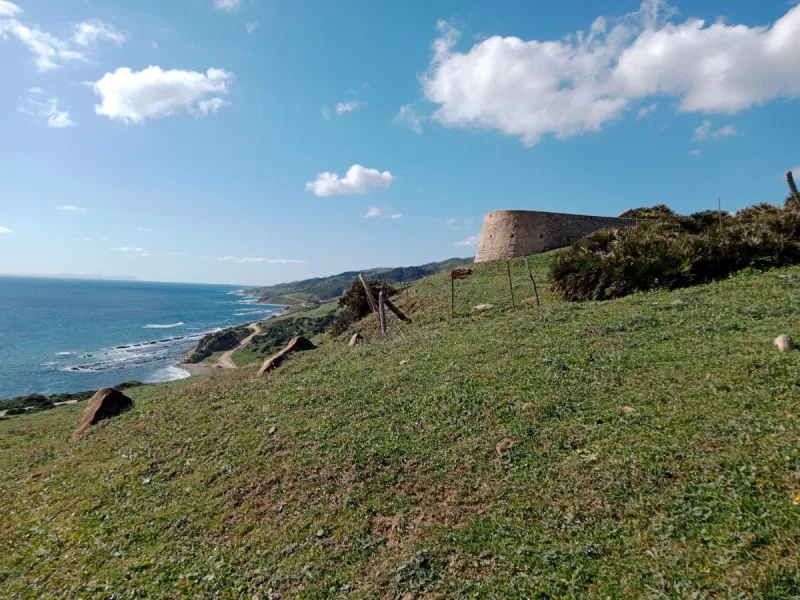 Plot - Land with Ruin в продаже в Manilva, Málaga. Площадь дома 324 м². Площадь участка 117263 м²