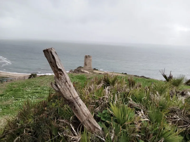 Plot - Land with Ruin в продаже в Manilva, Málaga. Площадь дома 324 м². Площадь участка 117263 м²