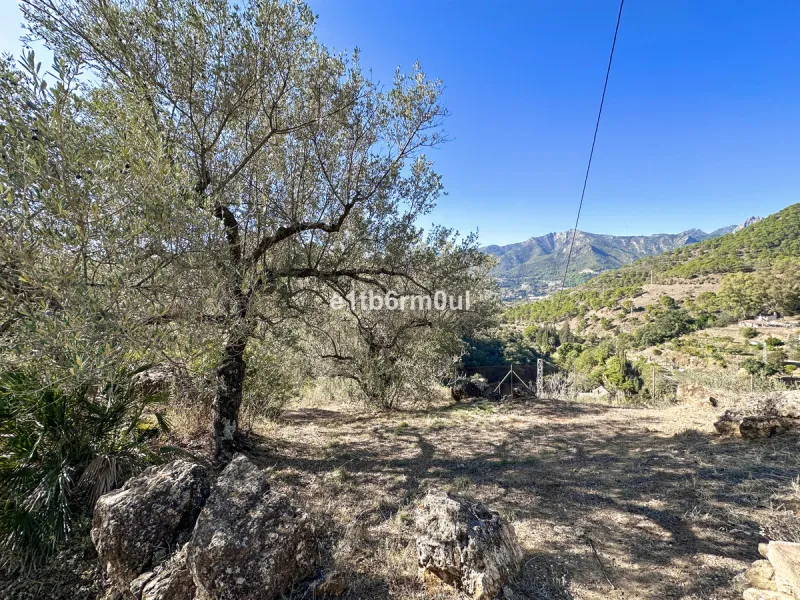 House - Finca - Cortijo в продаже в Ojén, Málaga. В доме 5 спален и 4 ванных комнат. Площадь дома 375 м². Площадь участка 11963 м²
