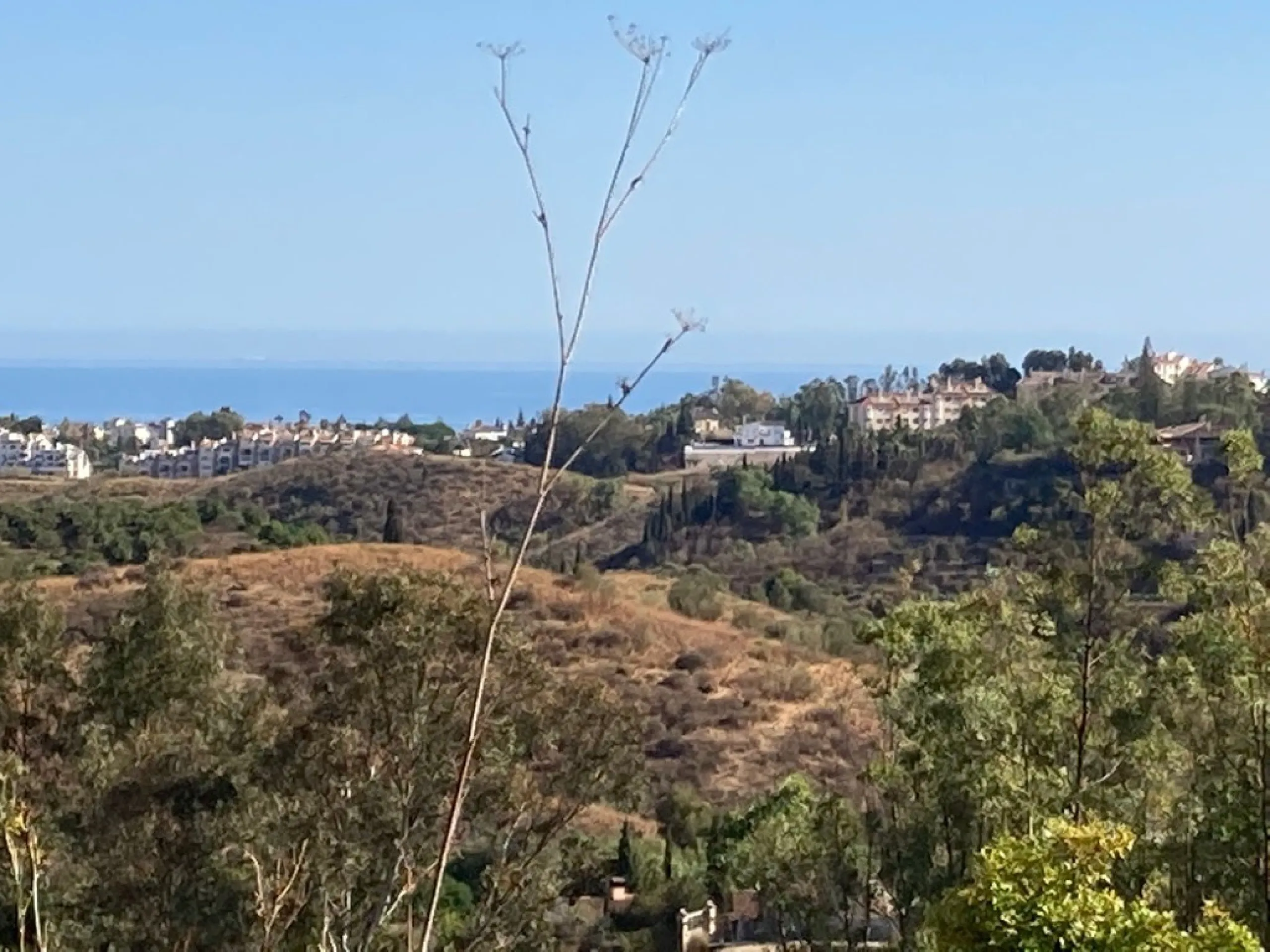 Are you searching for the perfect location to build your dream villa? This unique 25,000 m² plot is a rare gem that combines the tranquility of nature with proximity to vibrant city life and the conveniences of the coast. You are allow to build one villa 