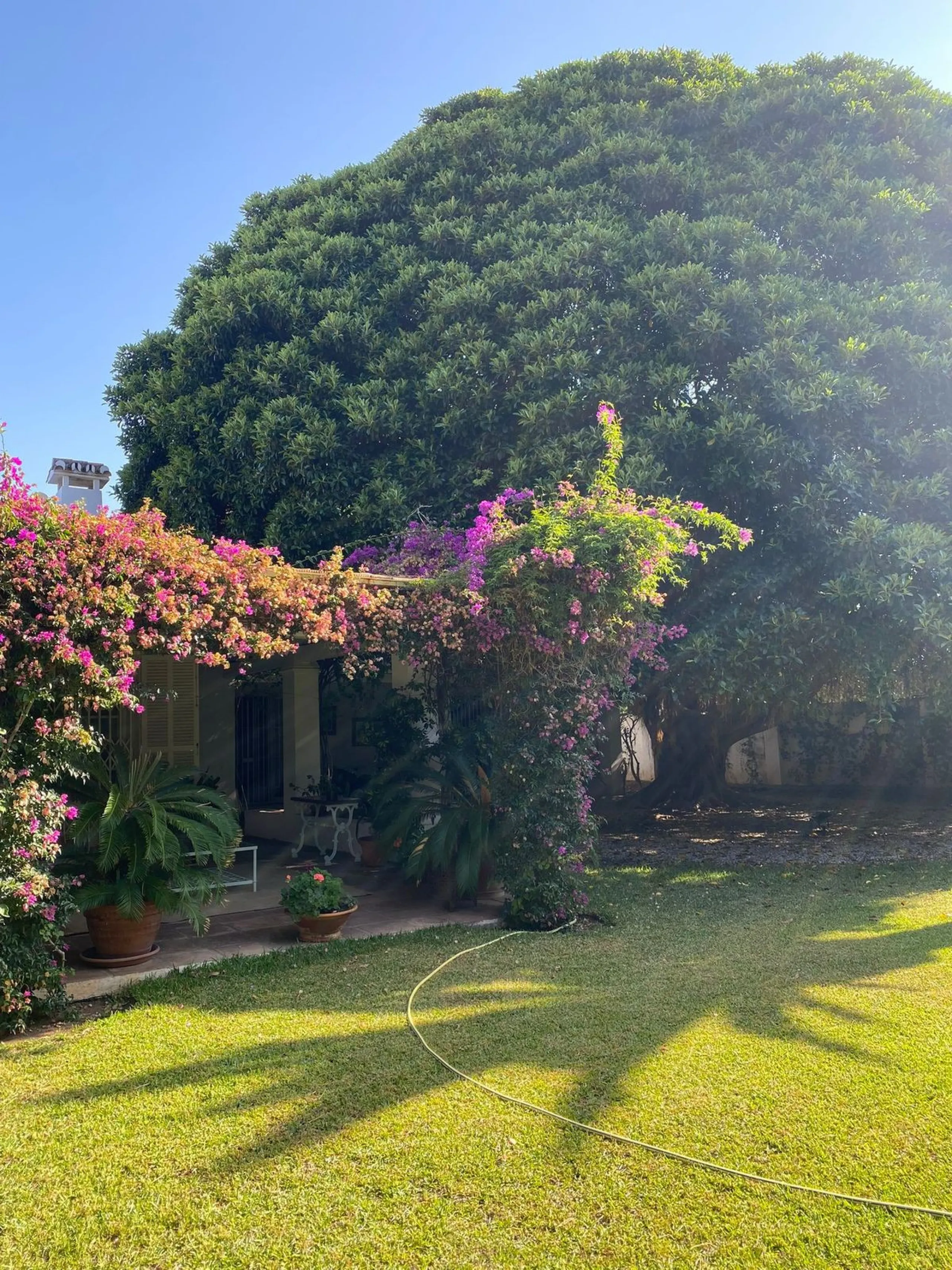 Charming Villa for Renovation in Casasola