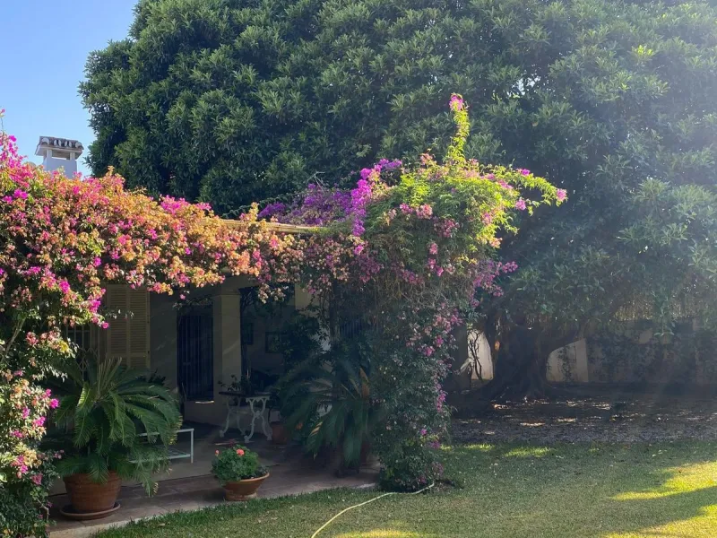 Charming Villa for Renovation in Casasola